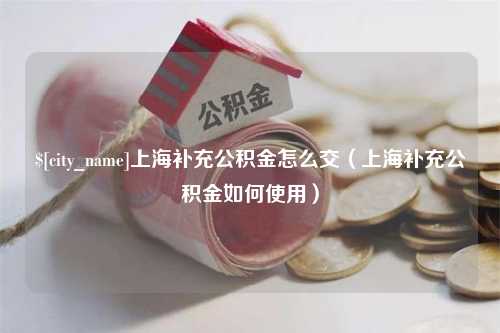 兰考上海补充公积金怎么交（上海补充公积金如何使用）